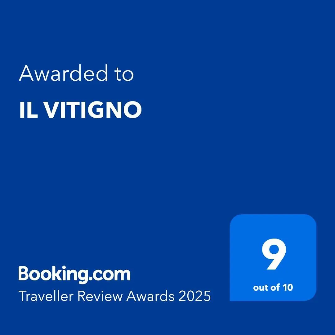 Il Vitigno Hotel Dossobuono 0*,